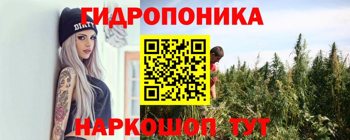 МАРИХУАНА ГИДРОПОН  Марихуана THC 21%  Конопля OG Kush  Вход с VPN  Марихуана тримм  Новошахтинск 